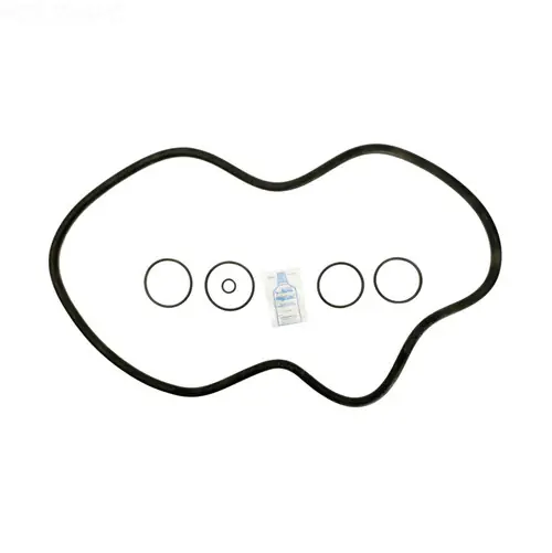 Hayward C3000/C4000 O-Ring Kit - APCK1105 Fast Shipping