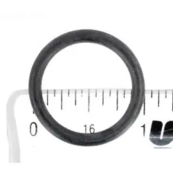 Hayward Key O-Ring (20Mm) | SPX0727XZ1 While Supplies Last