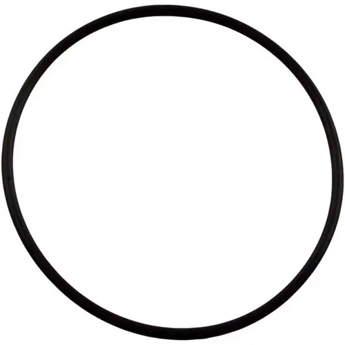 Waterway Plastics O-RING UNION 2" | 805-0145B Crafted