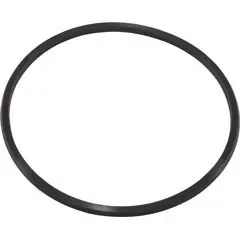 Today Only O-Ring, Aquapro Al75, Trap Lid | 10062-ACC