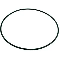 Place Order Carvin/Jacuzzi® O-Ring, Carvin Sandstorm TM36, Tank, O-277 | 47617204R