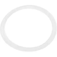 Shop Now Waterway Plastics Flat Gasket, 1" Diverter Valve | 711-4310