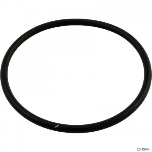 Professional Grade Pentair Pentair Lid O-Ring Automatic | R172009Z