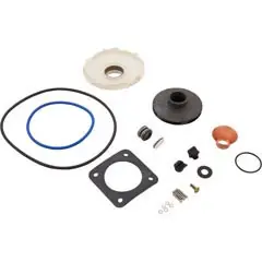 Pentair Ovrhl Kit-Pe Pr P2R W/ | PP1018 Hot Deal
