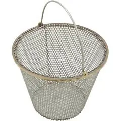 Clearance Pentair Pool Products Basket, Pump, OEM Pentair C-Series | 072795