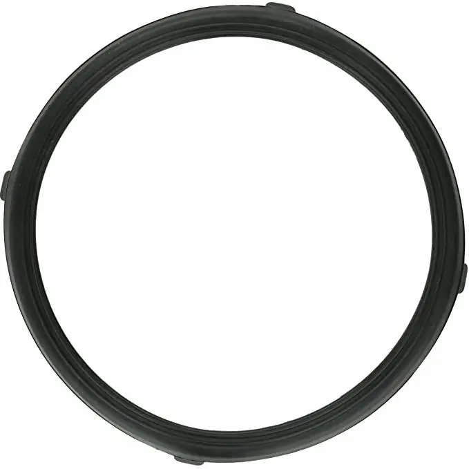 Pentair 619599z AquaLumin III Lens Gasket Premium