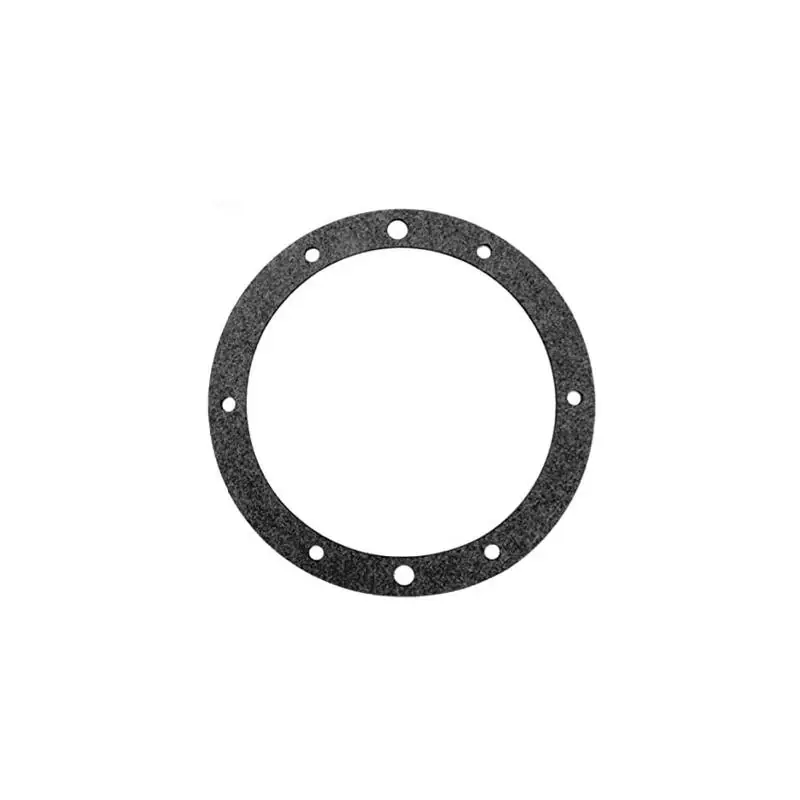Shop Now Pentair 79204600 SS Small Niche Single Gasket
