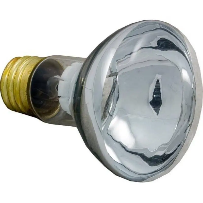 Pentair 79108100 100W 12V R20 Medium Flood Lamp Genuine