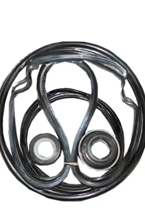 Super-Pro GO-KIT32-9 Purex Whisperflo Pump Seal Kit Budget