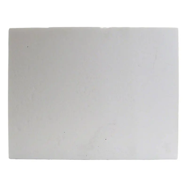Last Chance Raypak 010079F 207A-407A Common Left/Right Refractory Kit