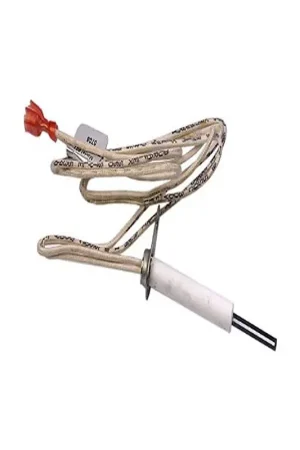 Zodiac R0367100 Lite2 LJ Ignitor Secure Checkout