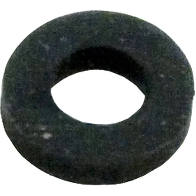 Pentair 05101-0005 Rubber Retainer Premium