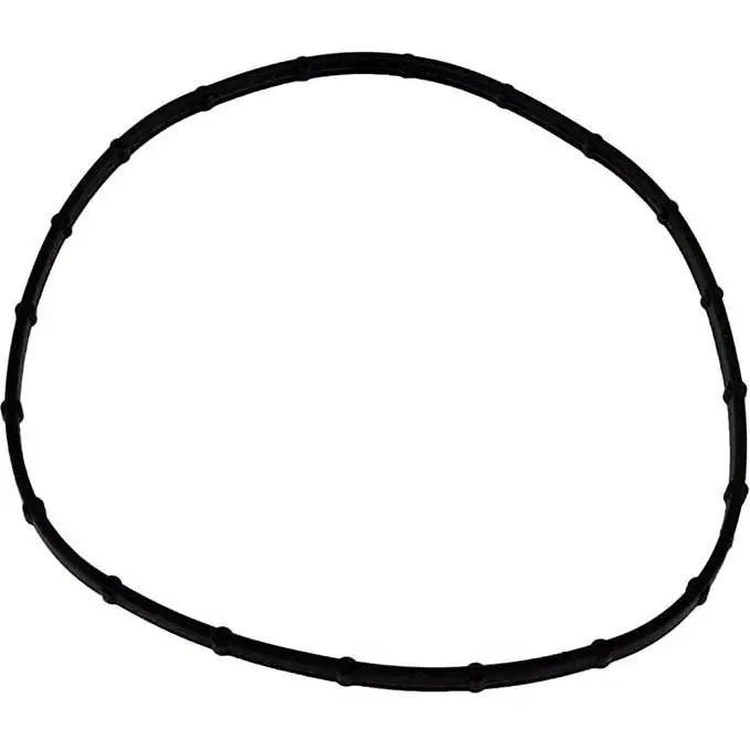 Pentair 05101-0002 Sta-Rite O-Ring Seal Buy Online