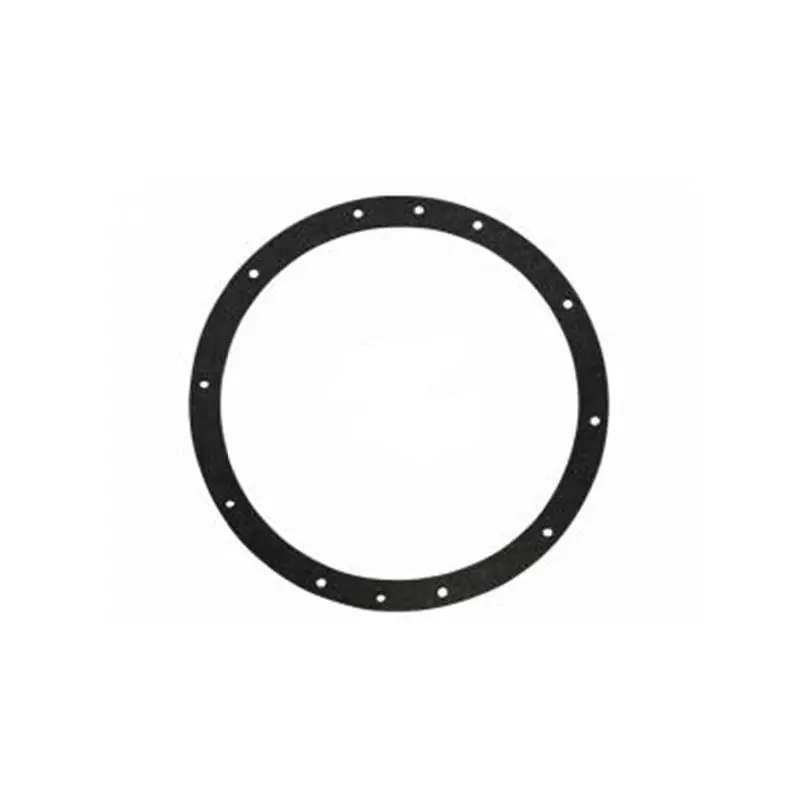Pentair 79202300 Small Hole Gasket Luxury