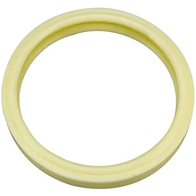 Exclusive Offer Pentair 79108600Z Spa Light Silicone Lens Gasket