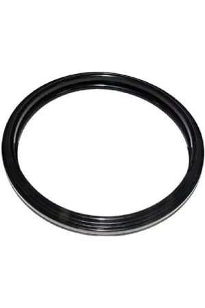 Zodiac R0791100 Jandy Silicone Gasket, Small While Supplies Last