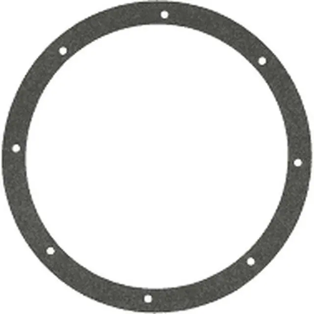 Discount Pentair 79202000 Niche Gasket