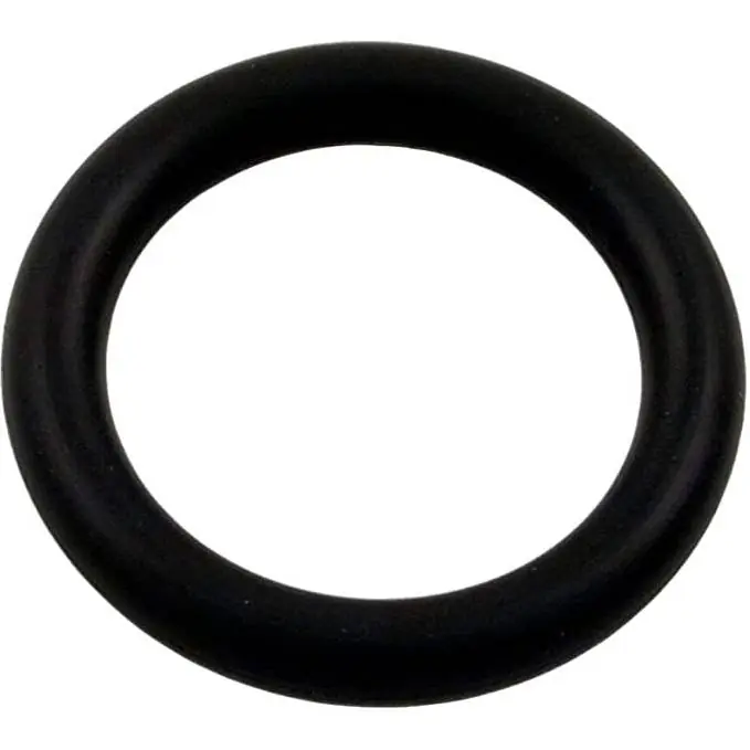 Pentair 79116900 AquaLuminator Buna N O-Ring Hassle-Free Returns