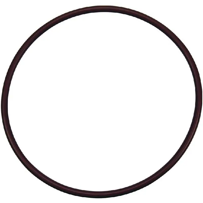 Hassle-Free Returns Pentair R172240Z High Capacity Chlorinator Lid O-Ring