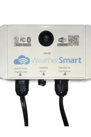 Discount Grand Canyon Gas Logs Weather Beater WIFI/Bluetooth Control System