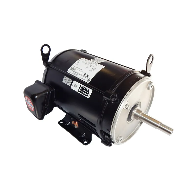 Pentair 357065S Motor for EQ Series Pump, 5HP, 230V, 60 Hz Buy Online