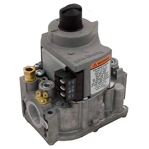 Premium Raypak 003900F NG IID Gas Valve