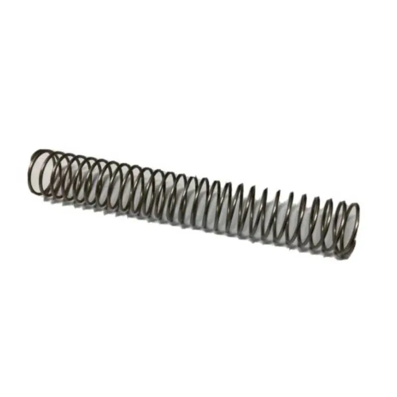 Pentair R171097Z Tube Support Spring Budget