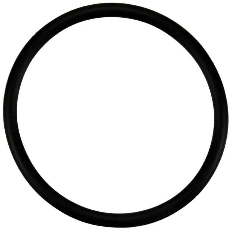 Instant Buy Pentair 350336Z WhisperFlo XF Diffuser O-Ring