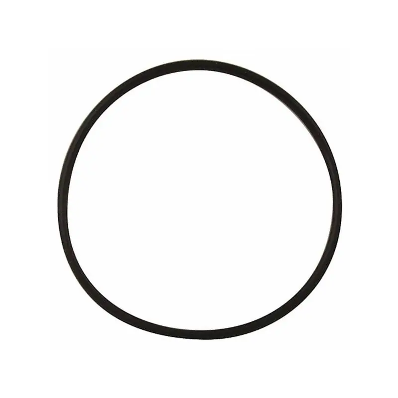 Instant Buy Super-Pro O-168-9 Valve Cap/Adapter O-Ring
