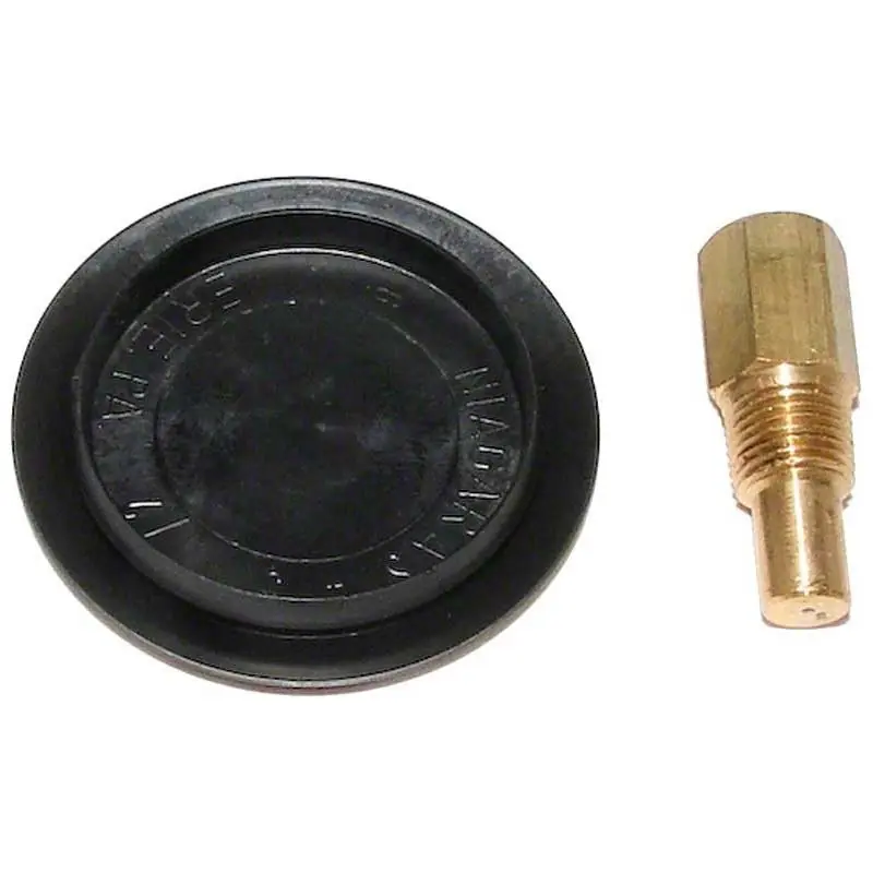 Raypak 005264F Rear Drain Plug and Cover Fast Shipping