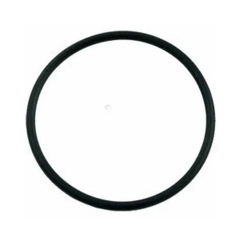 Hayward SX200Z3 2″ Flush Union O-Ring Crafted