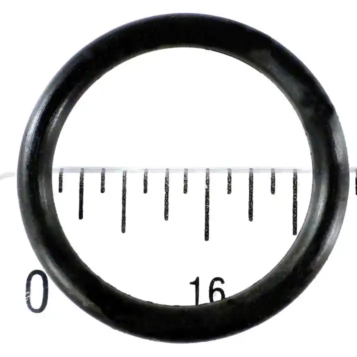 Pentair 192039Z Diverter Valve Shaft O-Ring Must Have