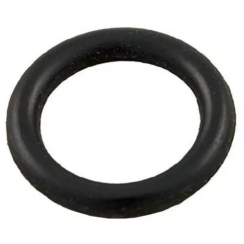 Pentair 72555 Cover O-Ring Weekend Sale