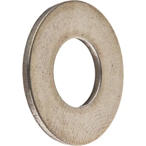 Professional Grade Pentair 072173 5/16″ x .75″ SS Flat Washer