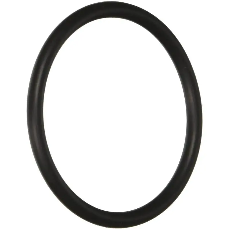 Final Sale Hayward SX220Z2 SwimClear/ProGrid Bulkhead O-Ring