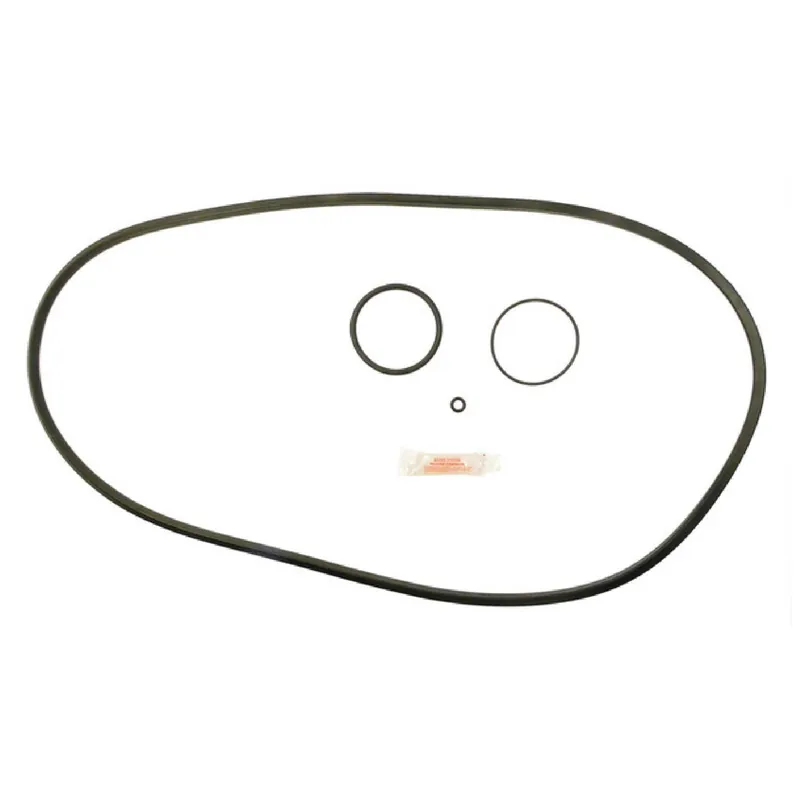 Buy Direct Pentair APCK1167 FNS Filter Kit