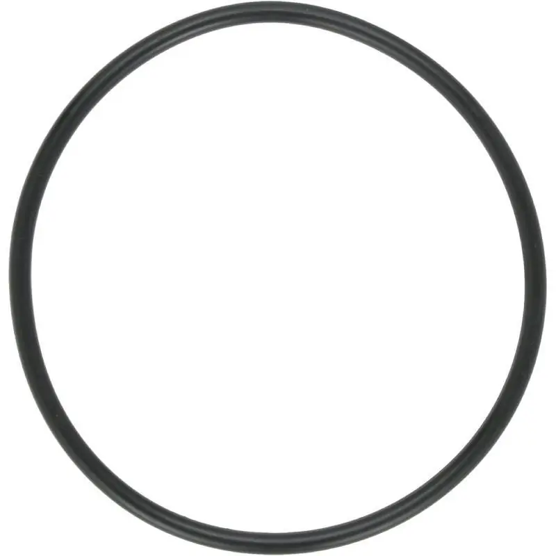 Aladdin O-99 Swimquip 2356815 O-Ring Low Price