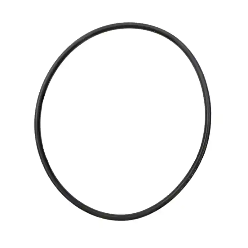 Buy Today Aladdin O-247 Swimquip 355051121 O-Ring