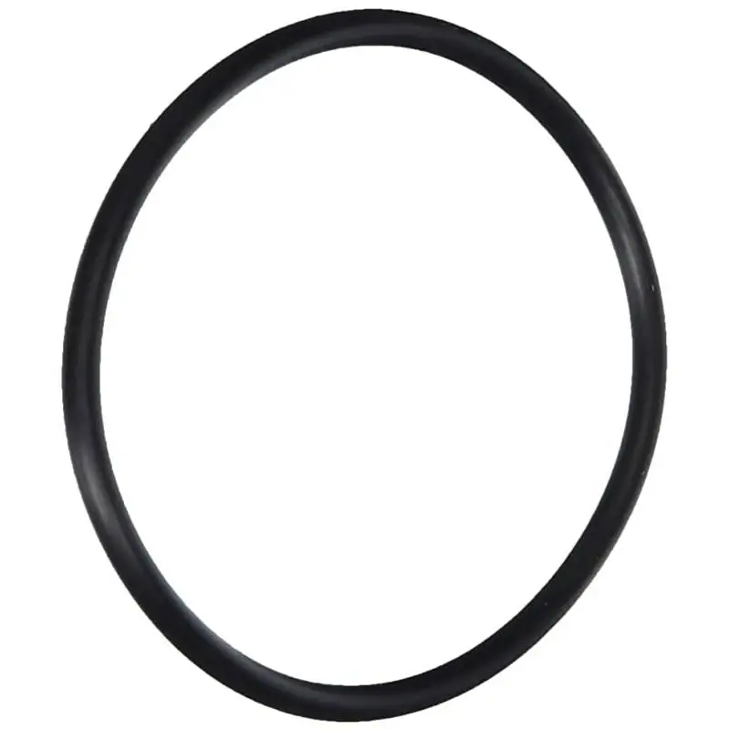 Bargain Pentair 154004Z Flange Adapter O-Ring for Triton C-3 Sand Filter