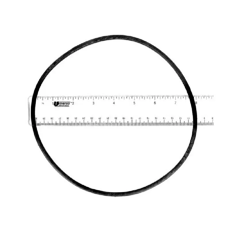 Next Day Delivery Fluidra AST773R1920050 Lid O-Ring