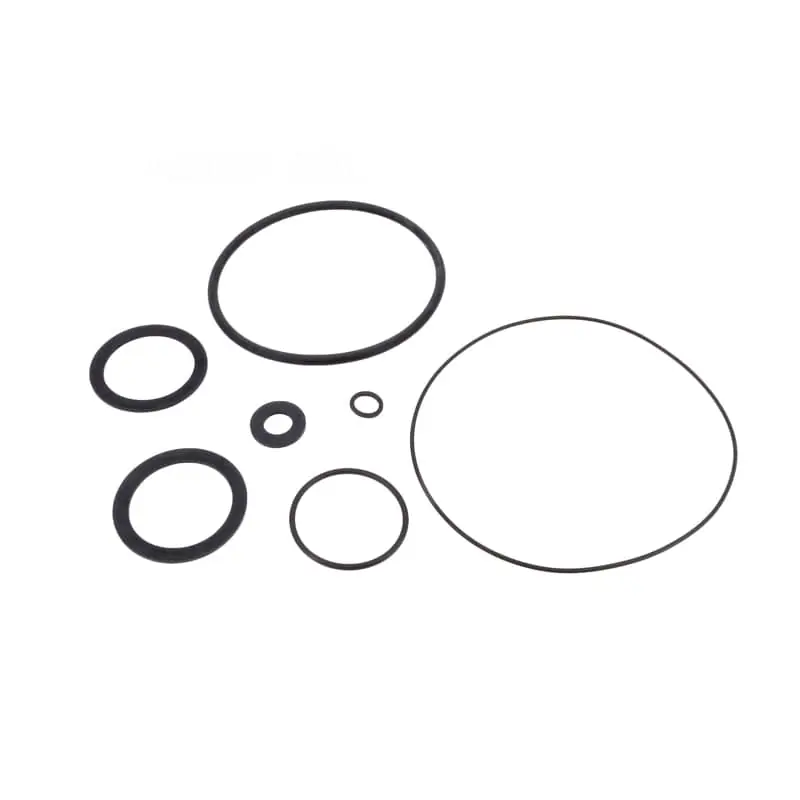 Fluidra 4405010203 Sprint Strainer Lid O-Ring Save Now