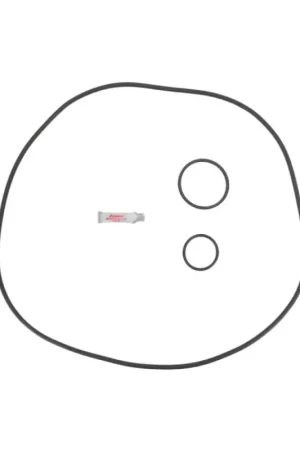 Aladdin APCK1158 StaRite DEP36 O-Ring Kit Place Order