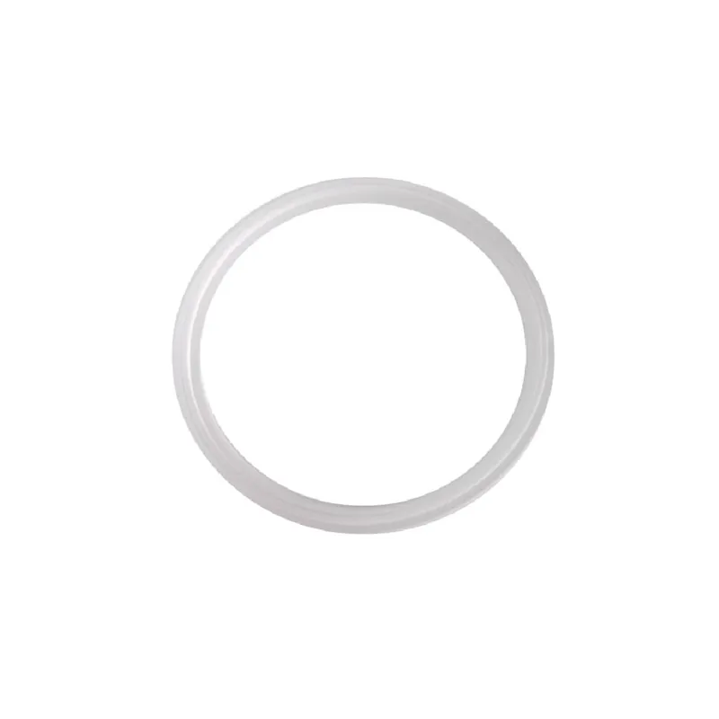 Waterway 711-6920 Mini-Storm Double Seal Gasket Today Only