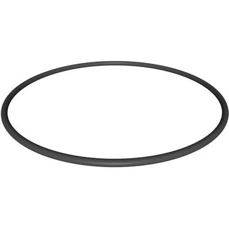 Hayward CX900F StarClear Plus Lid O-Ring Price Drop