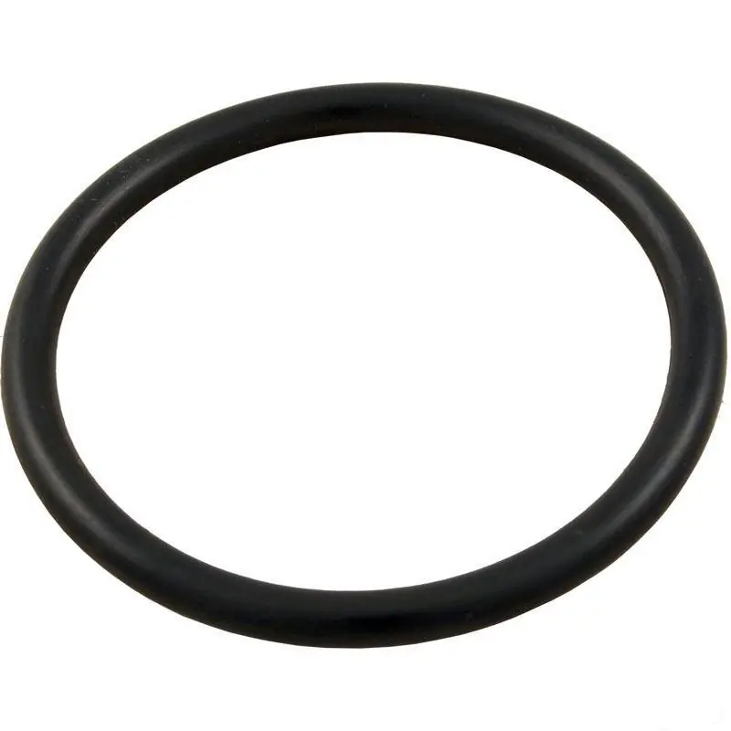Next Day Delivery Pentair 35505-1424Z System:3 Drain Plug O-Ring