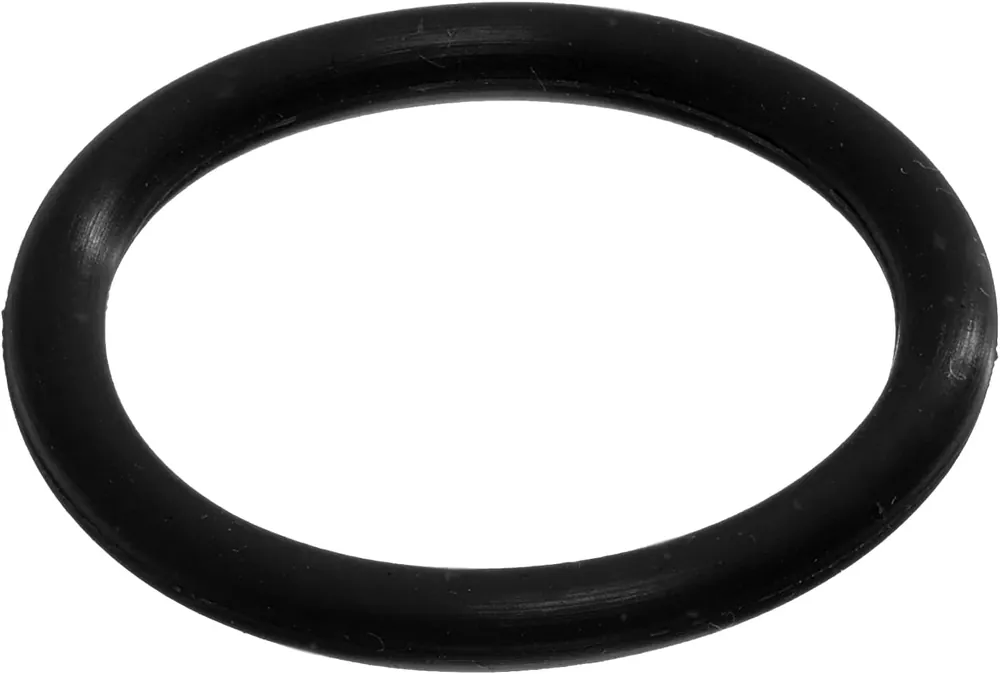 Buy Direct Sterling Seal & Supply O-339 Filter Tank Body O-Ring