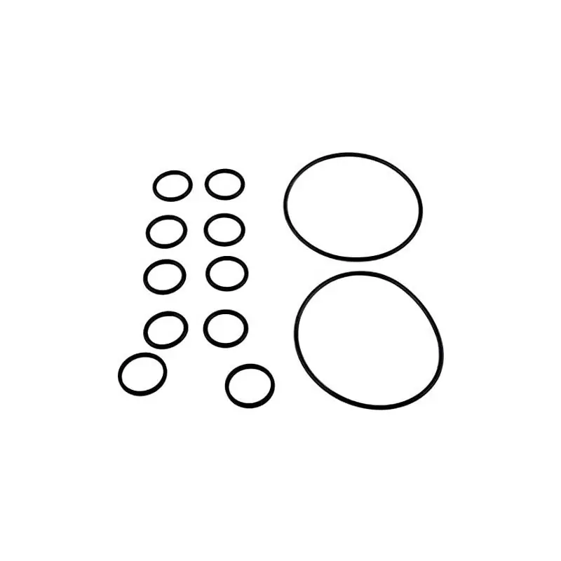 Zodiac R0552400 2-IN-1 Backwash O-Ring Kit Sale