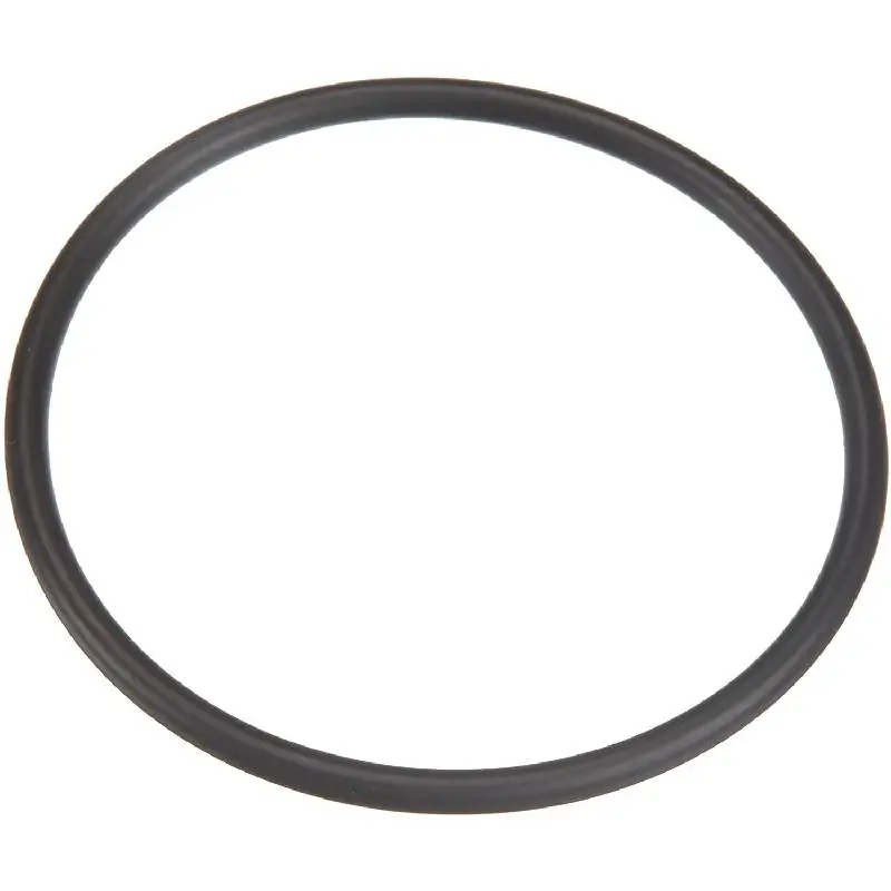 Genuine Pentair 35505-1425Z System:3 Filter Bulkhead O-Ring