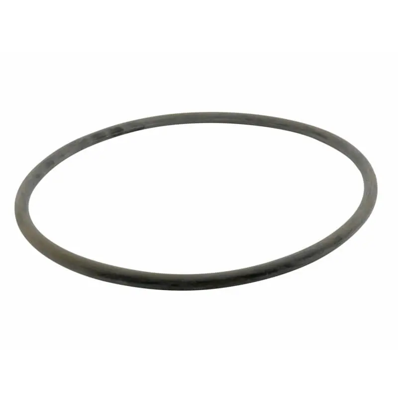 Buy Direct Pentair 313225Z SEP48/72/96/144 O-Ring