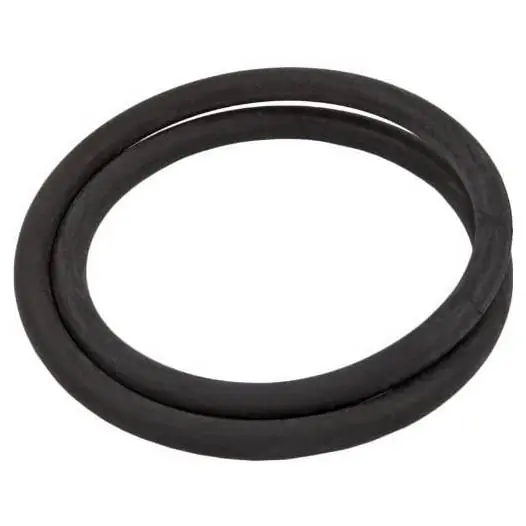 Express Delivery Hayward CX800F StarClear II Lid O-Ring